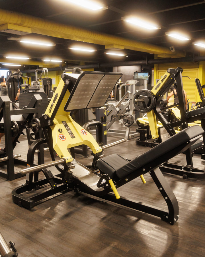 Estrutura de musculação da The Best Academia